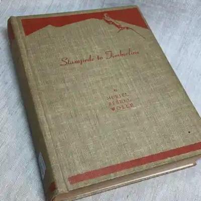 Stampede To Timberline