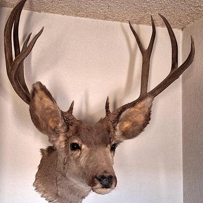 Sale Photo Thumbnail #74