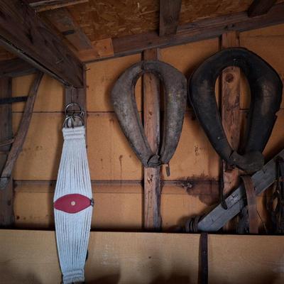 Sale Photo Thumbnail #556