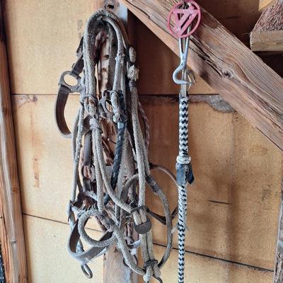 Sale Photo Thumbnail #569