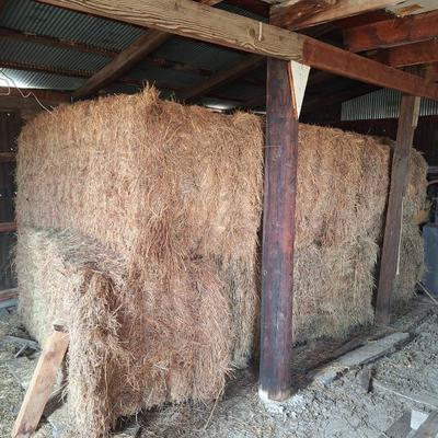 Sale Photo Thumbnail #580