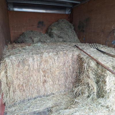 Sale Photo Thumbnail #573