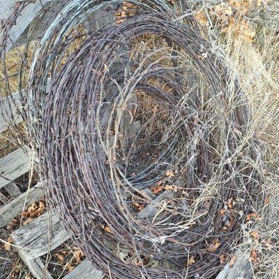 Sale Photo Thumbnail #595