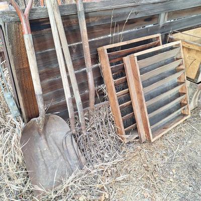 Sale Photo Thumbnail #690