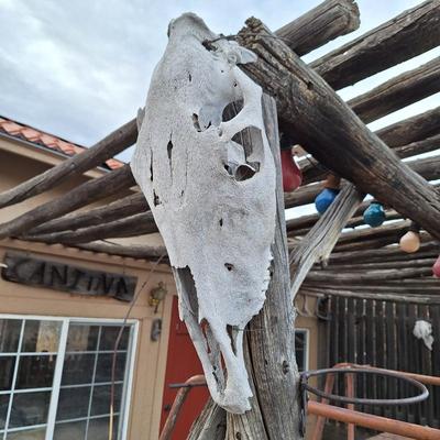 Sale Photo Thumbnail #503