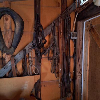 Sale Photo Thumbnail #557