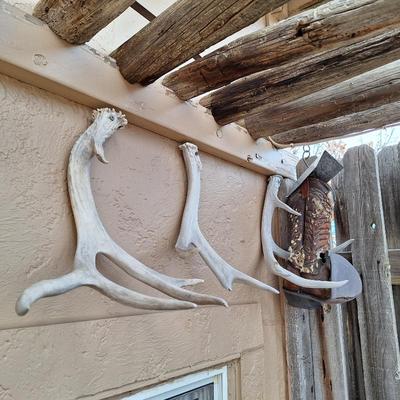 Sale Photo Thumbnail #514