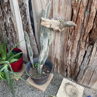 Sale Photo Thumbnail #147