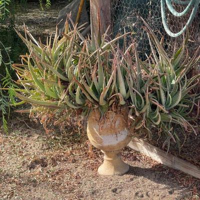 Sale Photo Thumbnail #151