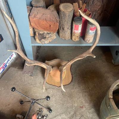 Sale Photo Thumbnail #195