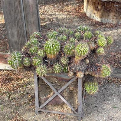 Sale Photo Thumbnail #152