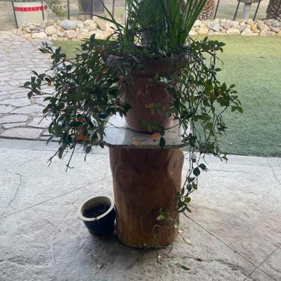 Sale Photo Thumbnail #135