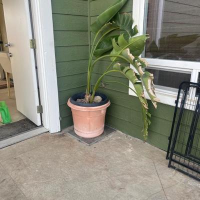 Sale Photo Thumbnail #130