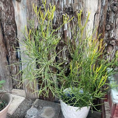 Sale Photo Thumbnail #143