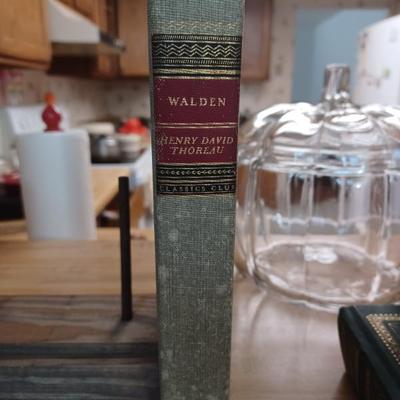 Sale Photo Thumbnail #48