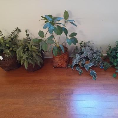 Sale Photo Thumbnail #70