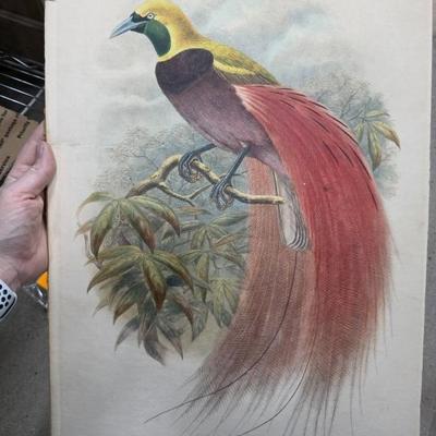 Sale Photo Thumbnail #314