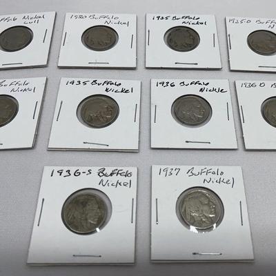 Buffalo Nickles Lot of 10 1920/1925/1925D/1930/1935/ 1936/1936S/1936D/1937/Cull (1)   +SB