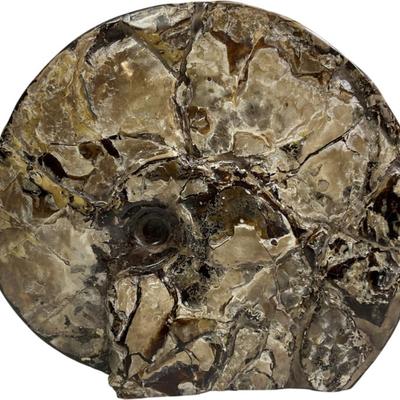 Sale Photo Thumbnail #232