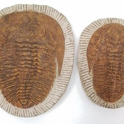 Sale Photo Thumbnail #91