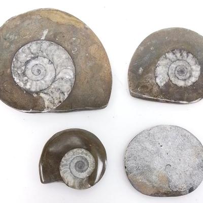 Sale Photo Thumbnail #52