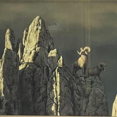 Sale Photo Thumbnail #186