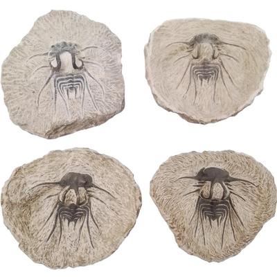 Sale Photo Thumbnail #21