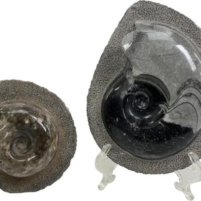 Sale Photo Thumbnail #217