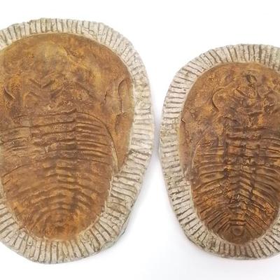 Sale Photo Thumbnail #96