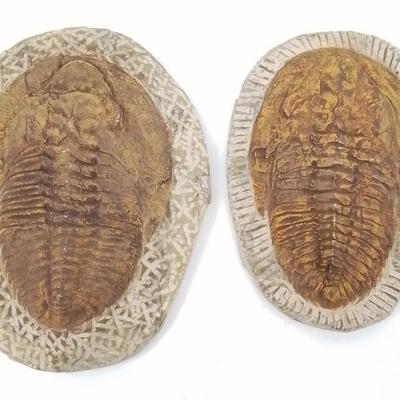 Sale Photo Thumbnail #92