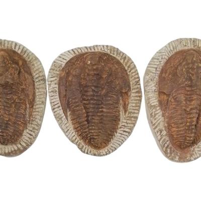 Sale Photo Thumbnail #95