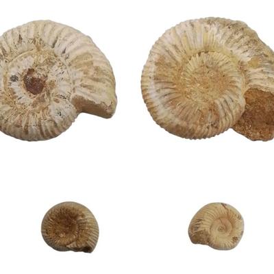 Sale Photo Thumbnail #16