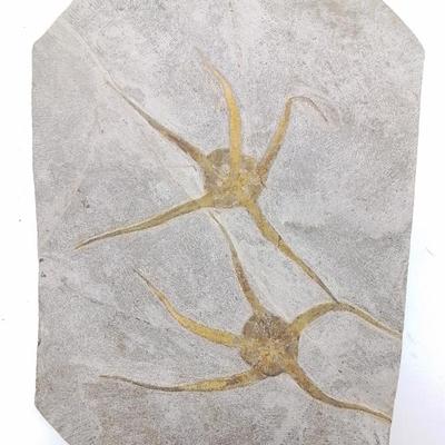 Sale Photo Thumbnail #17