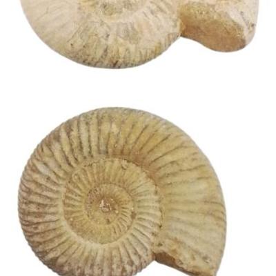 Sale Photo Thumbnail #15