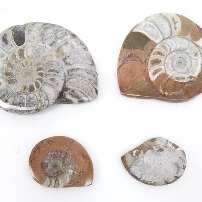 Sale Photo Thumbnail #24