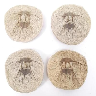 Sale Photo Thumbnail #23