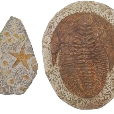 Sale Photo Thumbnail #93