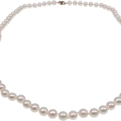 Sale Photo Thumbnail #324