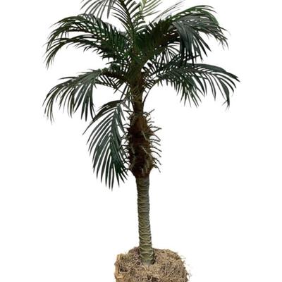 Sale Photo Thumbnail #627