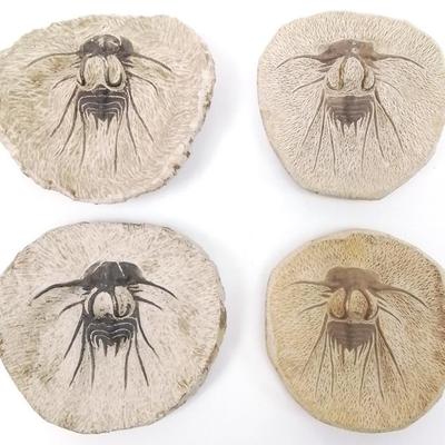 Sale Photo Thumbnail #22