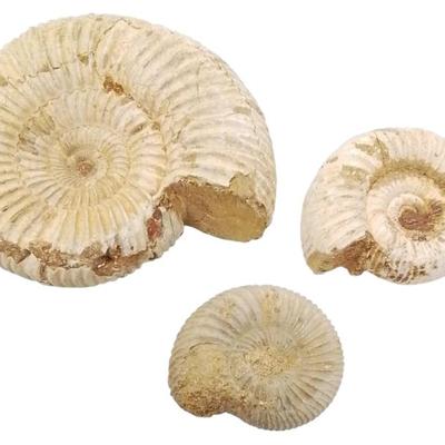 Sale Photo Thumbnail #14