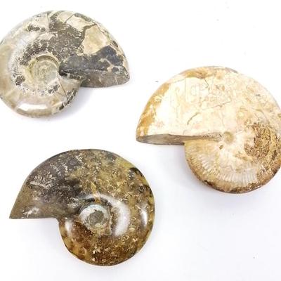 Sale Photo Thumbnail #25