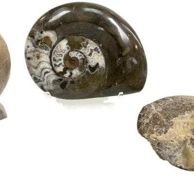 Sale Photo Thumbnail #228