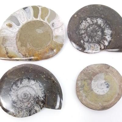 Sale Photo Thumbnail #18