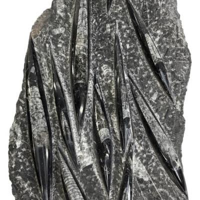 Sale Photo Thumbnail #234