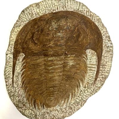 Sale Photo Thumbnail #235