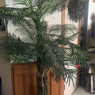 BN112 Silk Palm Tree