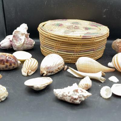 BN348 By the Sea/Ocean#1