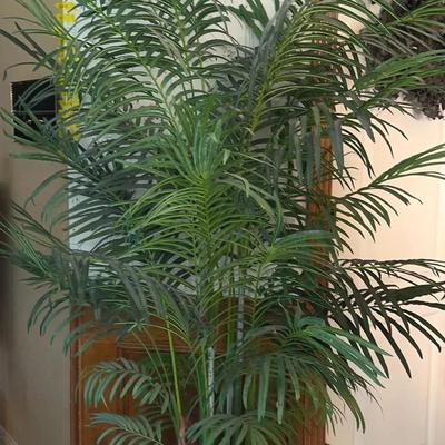 BN101 Artificial Palm Tree