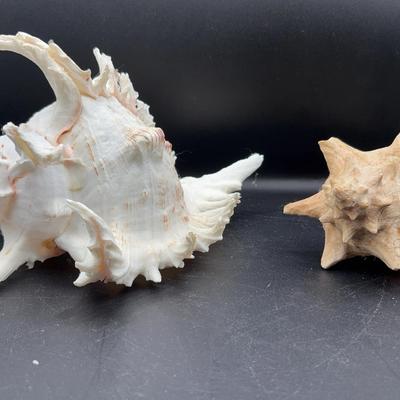 BN351 By the Sea/Ocean #2